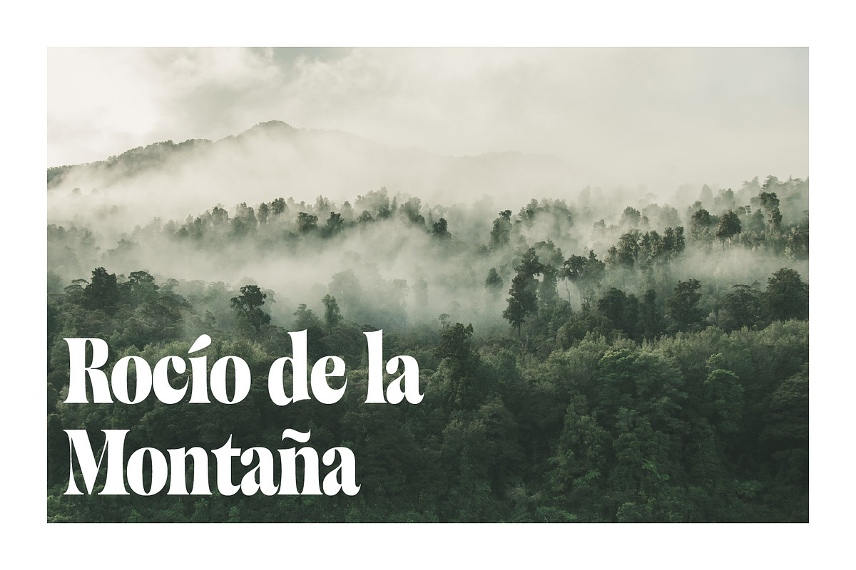 Balide - Display Serif, a Serif Font by Adam Fathony (Photo 11 of 17)