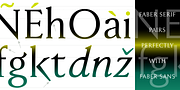 Faber Serif Pro, a Serif Font by ingoFonts (Thumbnail 9 of 9)