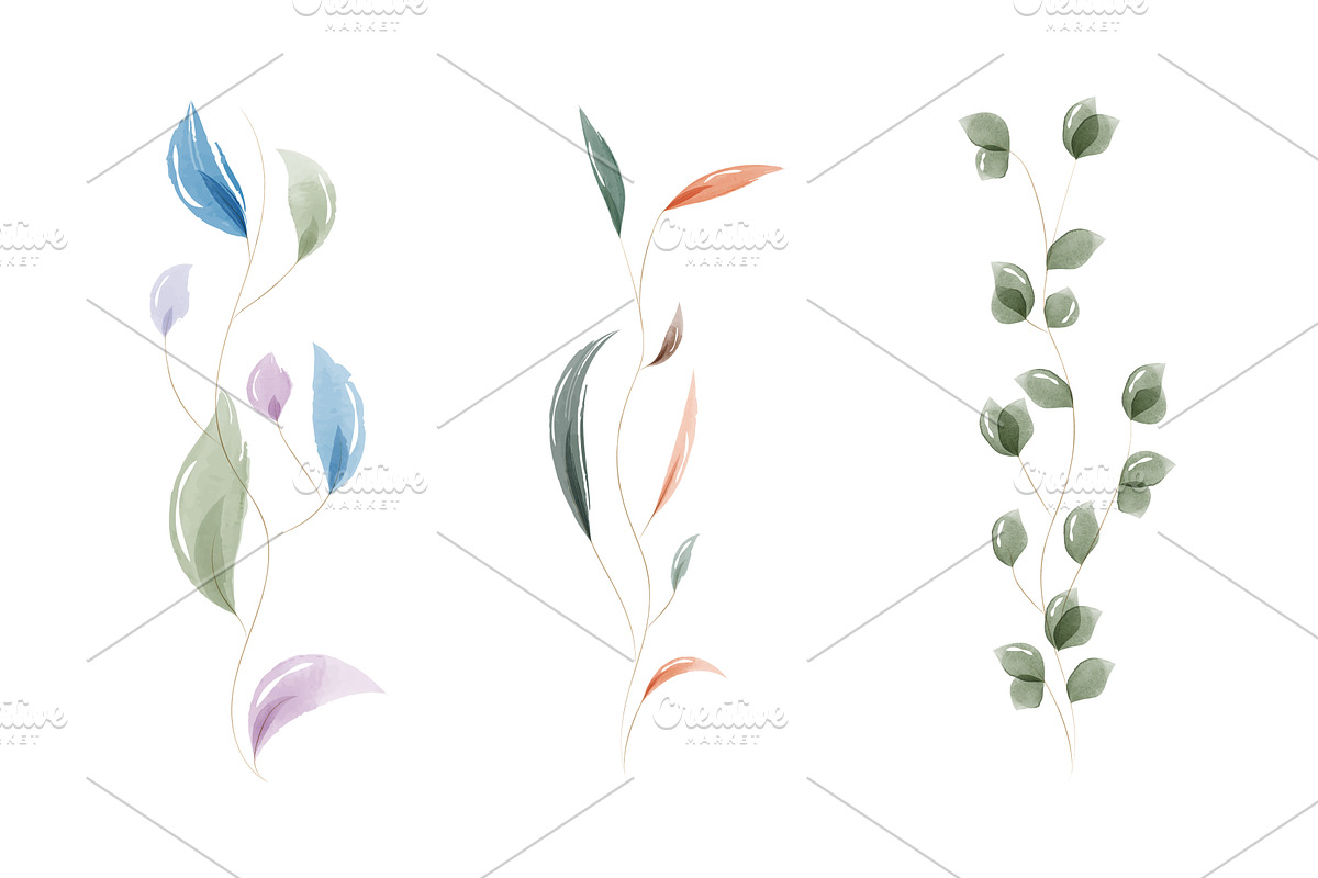 Delicate watercolor leaves, an Object Illustration by okskukuruza
