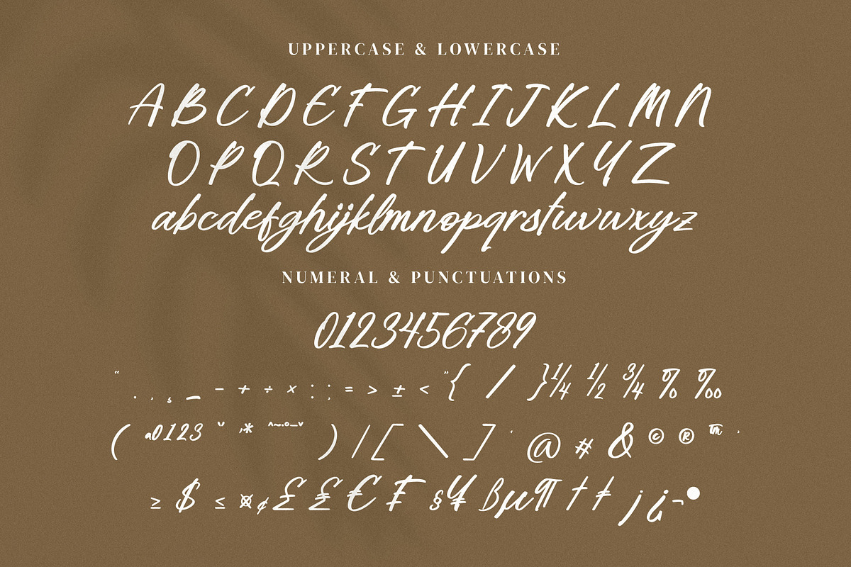 Briliany, a Handwritten Font by Goresan Studio (Photo 10 of 15)