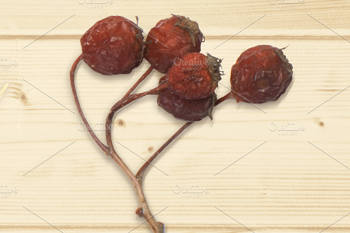 Autumn Floral Mockup Objects, an Object Graphic by uncle-rico (Photo 4 of 13)