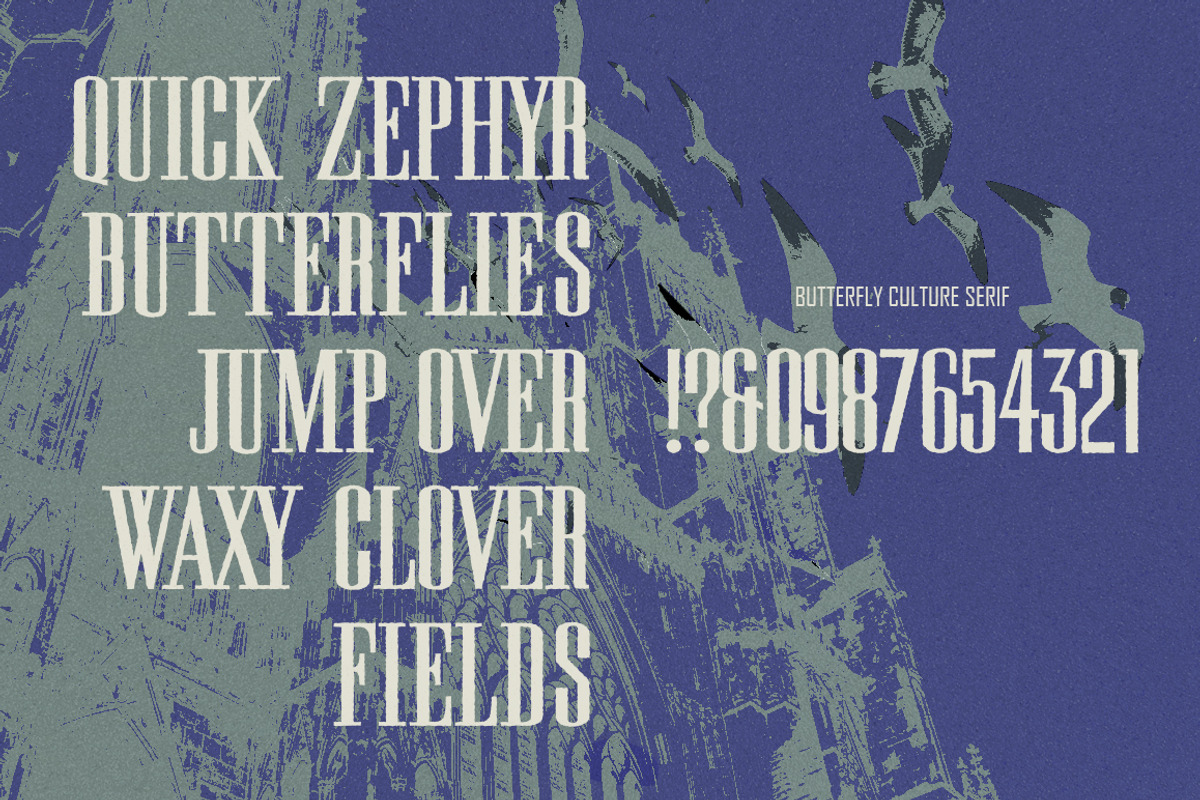 Butterfly Culture - Script & Serif, a Handwritten Font by The Branded Quotes (Photo 7 of 8)