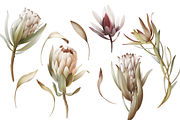 Protea | Seamless pattern, a Pattern Graphic by Karma (Thumbnail 18 of 18)