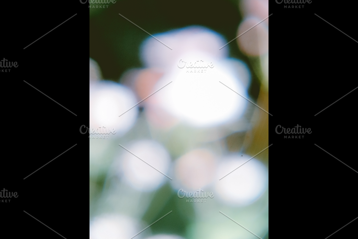 Dreamy, Ethereal Flower Photo Bundle, a Nature Photo by AmandaFagan (Photo 3 of 13)