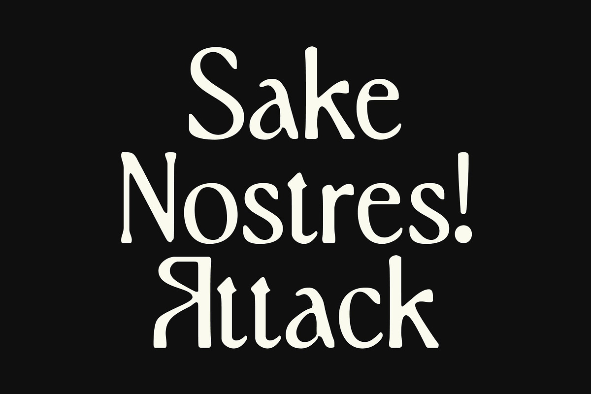 CS Finegan Drawn, a Serif Font by Craft Supply Co. (Photo 2 of 8)