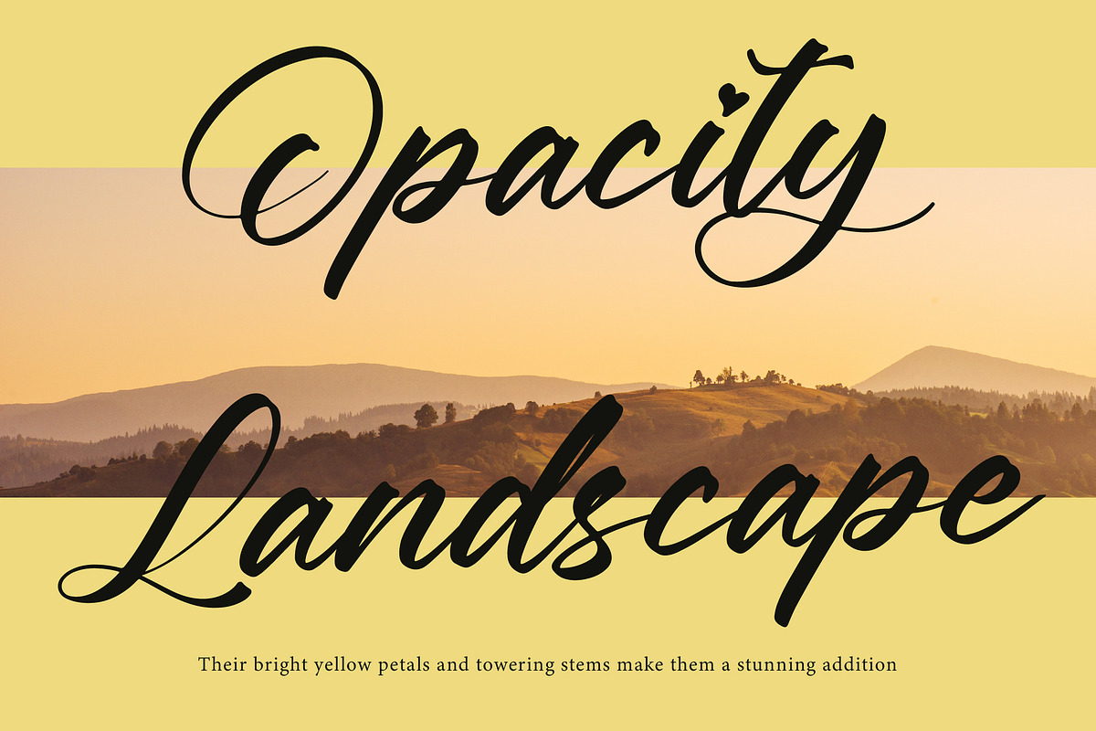 Boytang Keghora Calligraphy Font, a Script Font by Letterena Studios Script (Photo 14 of 20)