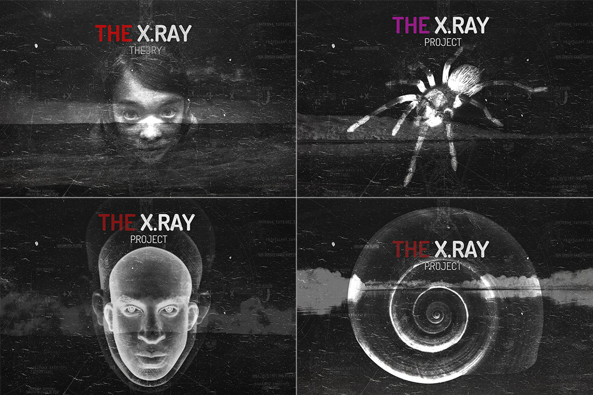 The X.RAY Theory preview 2