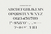 Erigo - Modern Serif Font, a Serif Font by Aqeel_Art (Thumbnail 9 of 10)