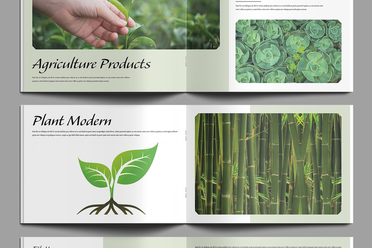 Botanical Magazine Landscape, a Magazine Template by MightyDesign (Photo 5 of 9)