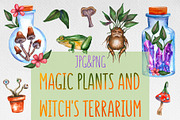 Magic plants and witch's terrariums, an Illustration by Olha's watercolor (Thumbnail 1 of 8)