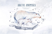 Arctic cute animals.  Watercolor set, an Animal Illustration by Peace ART (Thumbnail 4 of 22)