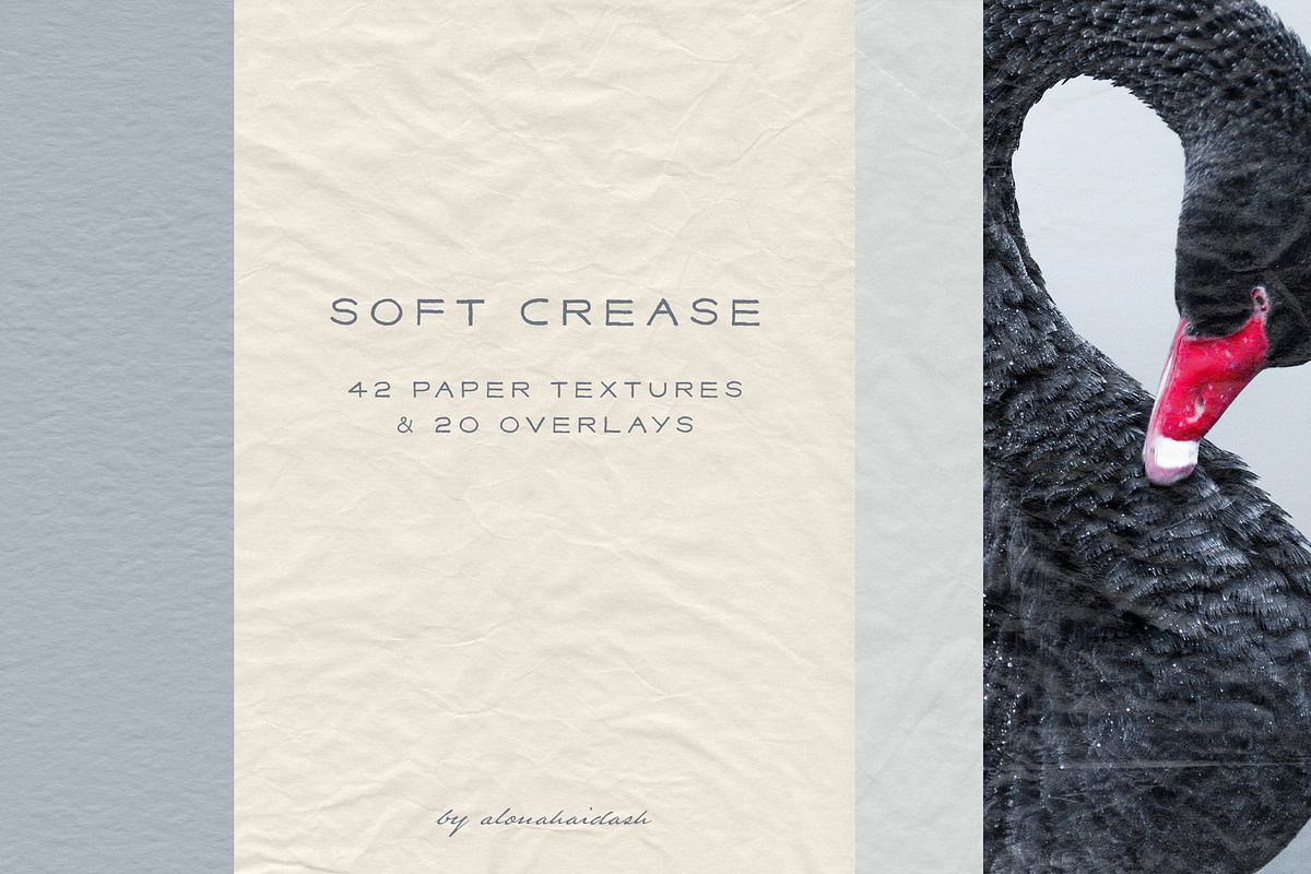 Crease - Paper Textures & Overlays, a Texture Graphic by alonahaidash (Photo 1 of 15)