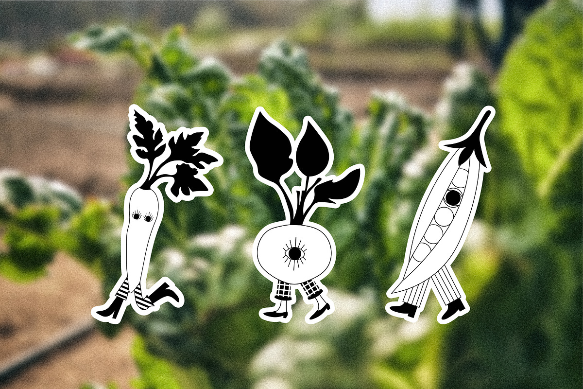 Walking Groceries: Vector Art, a Food Illustration by natahamilton (Photo 5 of 15)