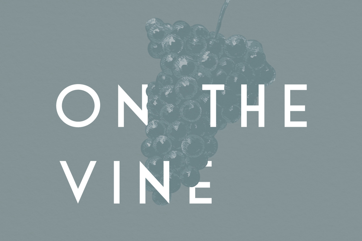 Free Download - Fontfreebie