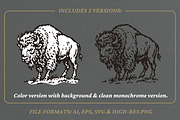Vintage Buffalo Illustration, an Animal Illustration by lettett (Thumbnail 2 of 3)