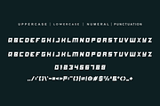 Ganzed - Italic & Sport Font Duo, a Serif Font by QR Design Studio (Thumbnail 7 of 8)