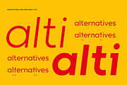 Contempo Gothic - Family, a Sans Serif Font by Arkitype (Thumbnail 5 of 16)