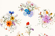 Watercolor Wildflowers & Leaves, a Decorative Illustration by Damian Roh (Thumbnail 8 of 24)