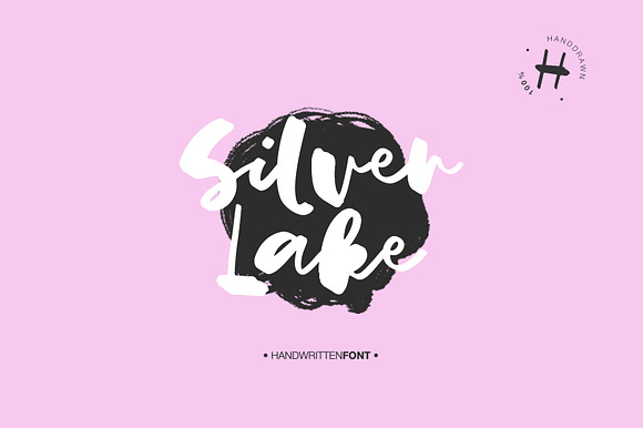 SILVER LAKE preview 8