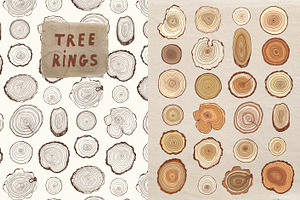 Tree Rings