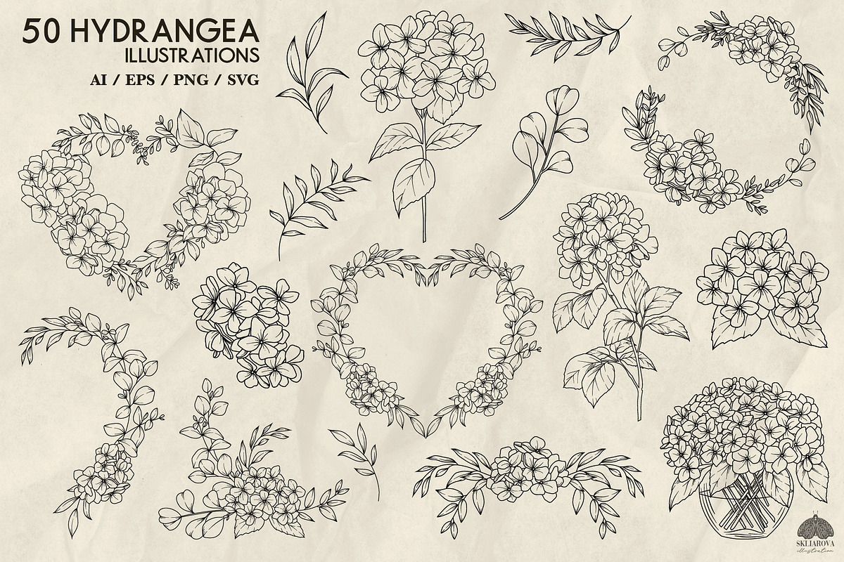 Hydrangea line art + Procreate, a Decorative Illustration by Skliarova (Photo 4 of 4)