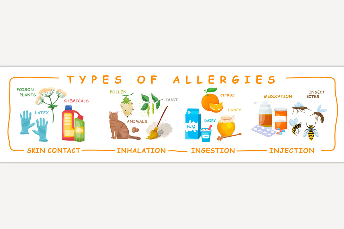Types of allergies. Medical infograp, a Food Illustration by Anna's Shop