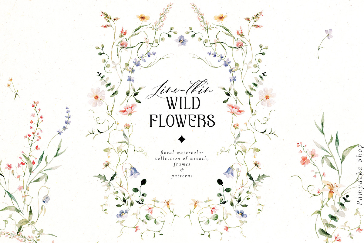 Line-thin watercolor wildflowers, a Decorative Illustration by Pamyatka Shop (Photo 1 of 16)