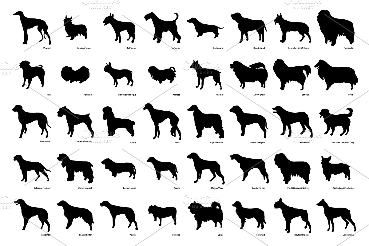Dog breeds silhouette illustrations, an Animal Illustration by Artha Design Studio (Photo 2 of 2)