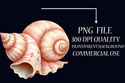 Ocean Sea Shell Sublimation Clipart, an Illustration by Libby Wishes (Thumbnail 3 of 7)