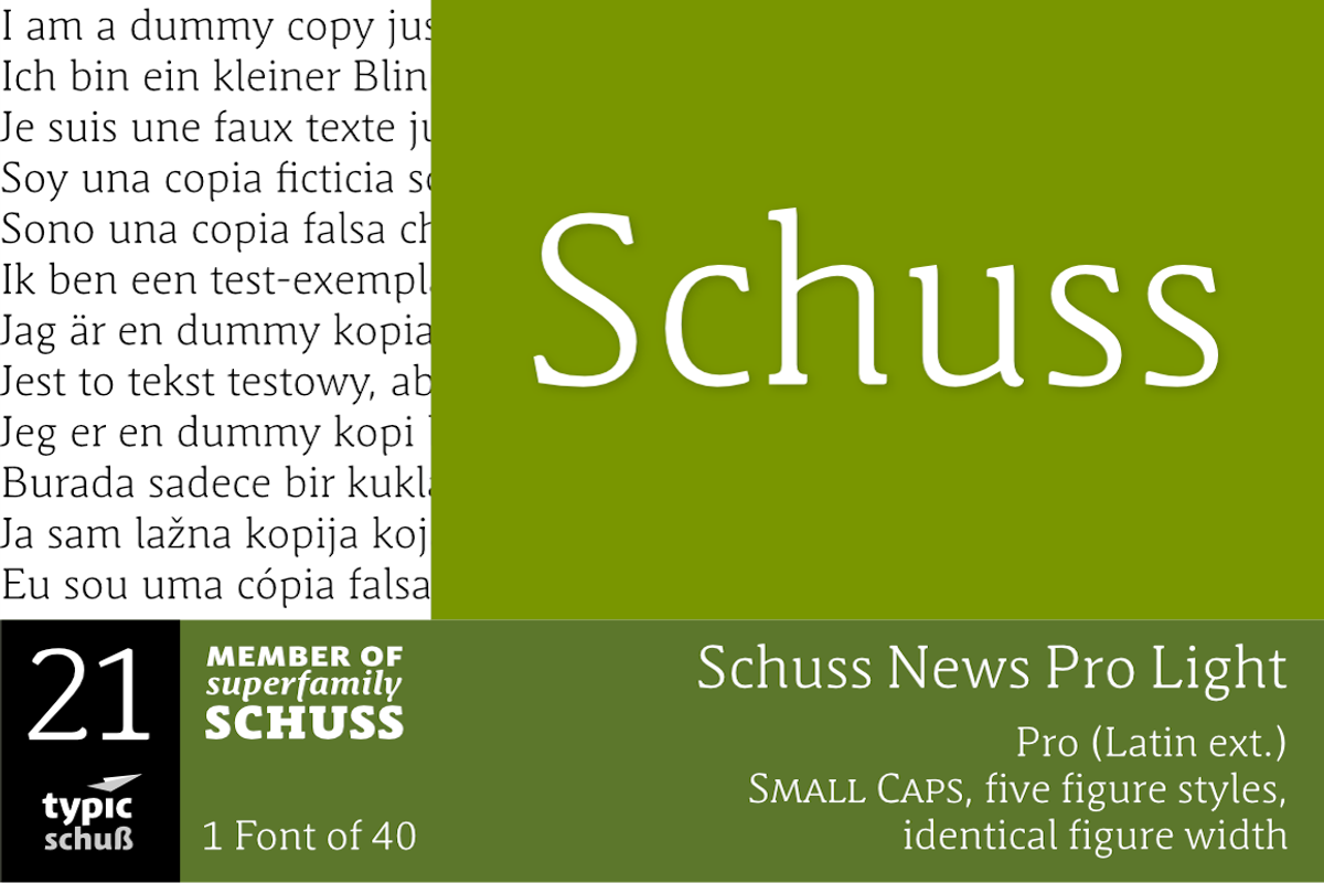 SchussNewsProLight No.21 (1 Font)