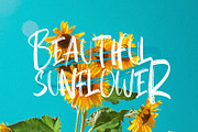 Quick Posty, a Script Font by Papermode Co. (Thumbnail 2 of 9)