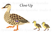 Duck Mom & Babies Clipart Set, an Animal Illustration by dogsinarow (Thumbnail 3 of 3)