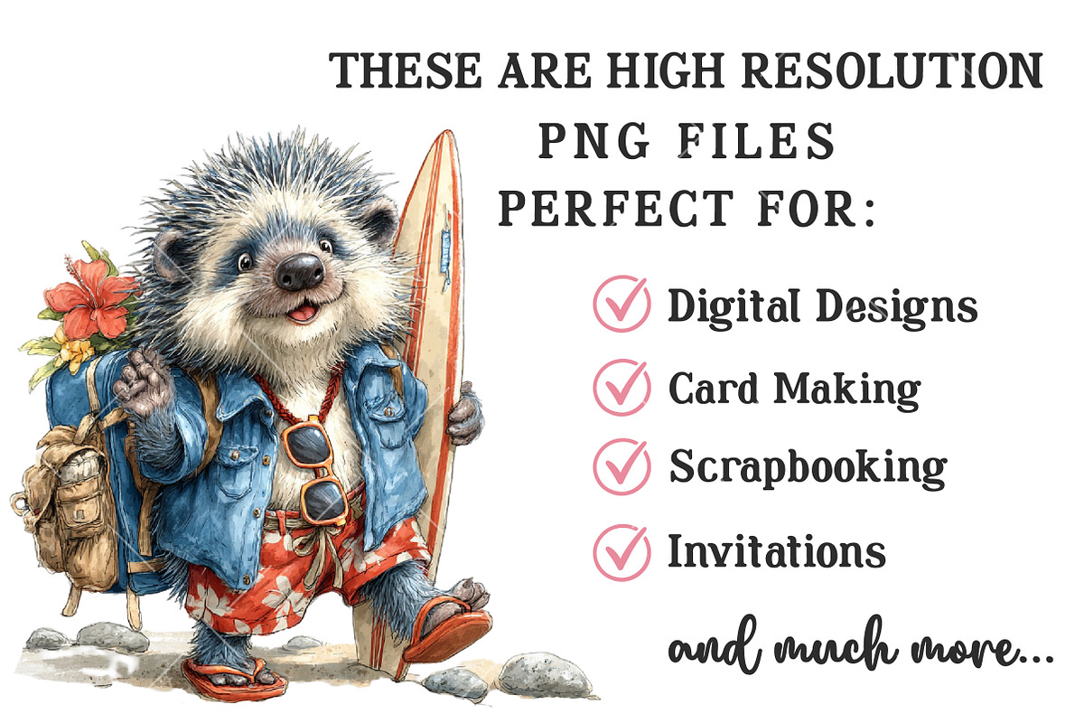 Whimsical Summer Hedgehog Clipart, an Illustration by OK Design (Photo 5 of 6)