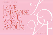 Tokyo Dreams Display Ligature Serif, a Serif Font by Mila Garret (Thumbnail 12 of 28)