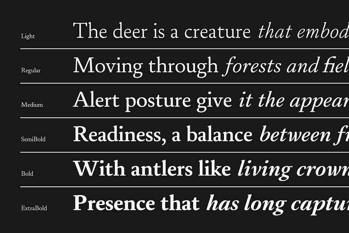 Daisler; 12 Text Serif Font, a Serif Font by Eko Bimantara (Photo 7 of 15)