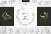 Botany & Moon. Hand Drawn Line Art., a Decorative Illustration by Designwork (Thumbnail 1 of 20)
