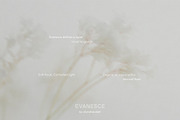 Blur Botanical Vellum Backgrounds, a Background Graphic by alonahaidash (Thumbnail 13 of 14)