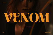 Venom Elegant Serif Font, a Serif Font by Perfectype (Thumbnail 1 of 8)