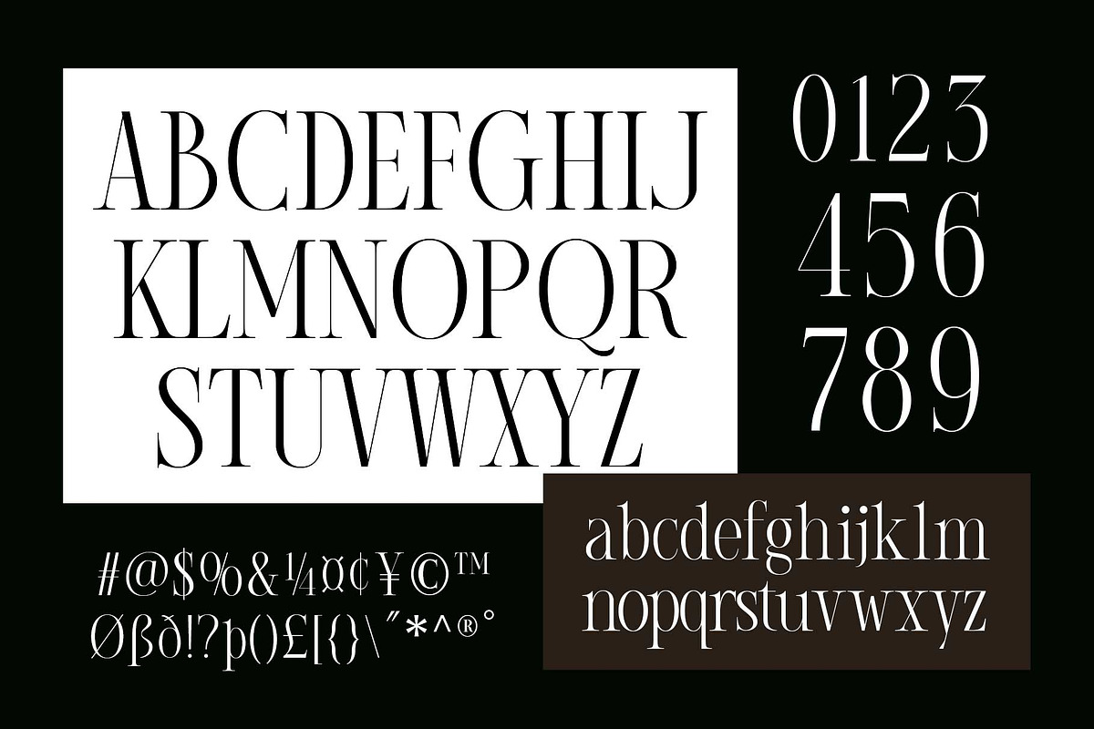 Imperial Grace - Modern Classic, a Serif Font by Novitype (Photo 12 of 12)