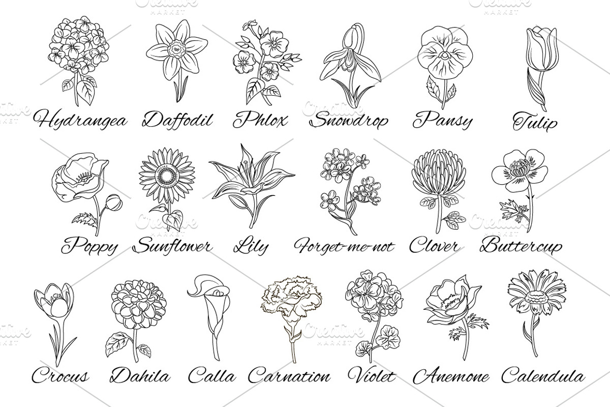 20 Vector flowers, an Illustration by Mallinka