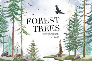 Forest Watercolor Woods Pine Tree, an Illustration by NKTKNS