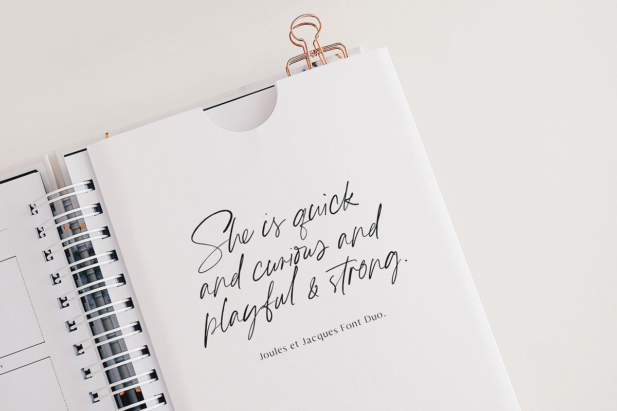 Joules et Jacques Font Duo, a Handwritten Font by Nicky Laatz (Photo 13 of 20)