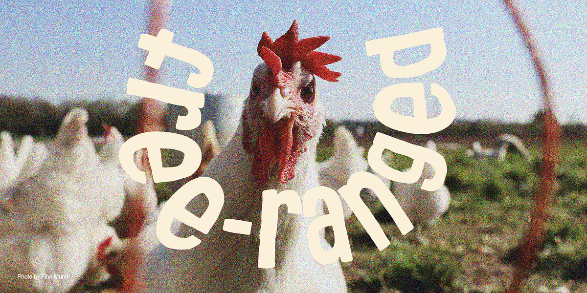 Organico, a Handwritten Font by Papertype (Photo 3 of 6)