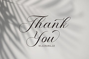 Palengue Script, a Script Font by Strong.co (Thumbnail 7 of 7)