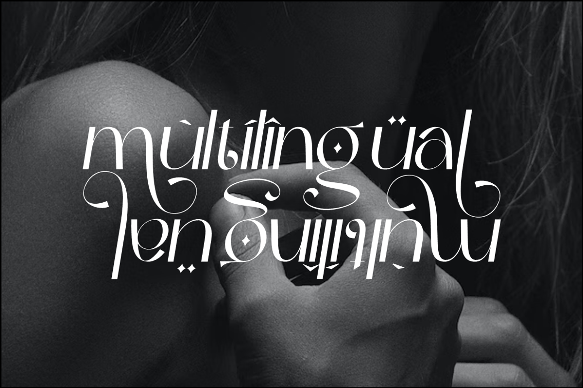 Vilergan Serif Font, a Serif Font by Typegoals Studio (Photo 8 of 9)