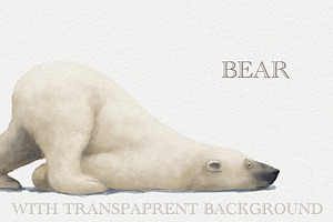 White Polar Bear
