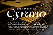 Astani Display, a Serif Font by InkwellTypeCo (Thumbnail 9 of 17)