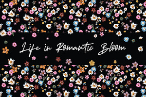 Life In Romantic Bloom Collection