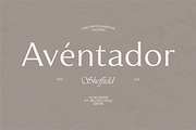 Montier Elegant Display, a Sans Serif Font by Glowtype (Thumbnail 4 of 15)