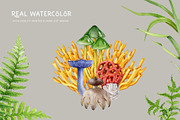 Mushrooms Watercolor Clipart, a Food Illustration by AnitaPol (Thumbnail 15 of 24)